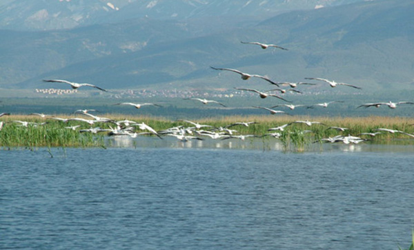 12. büyük göl: Eber Gölü